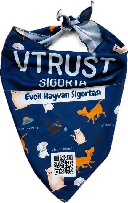Köpek bandanası, tasmaya geçmeli üçgen model