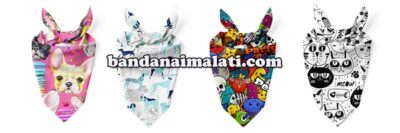Pet Bandana, Köpek Bandana İmalatı