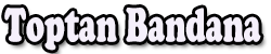 Toptan Bandana Logo